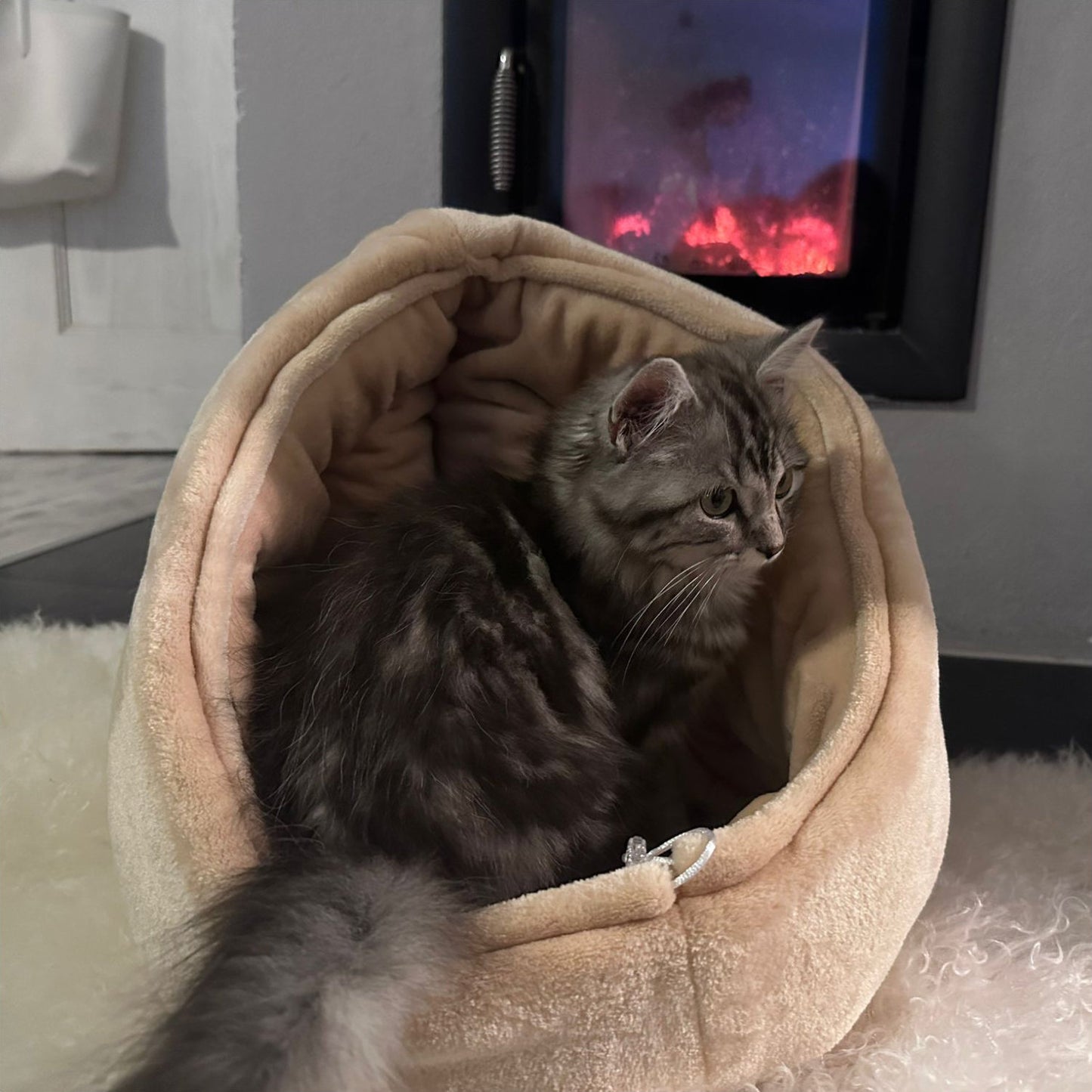 Igloo
