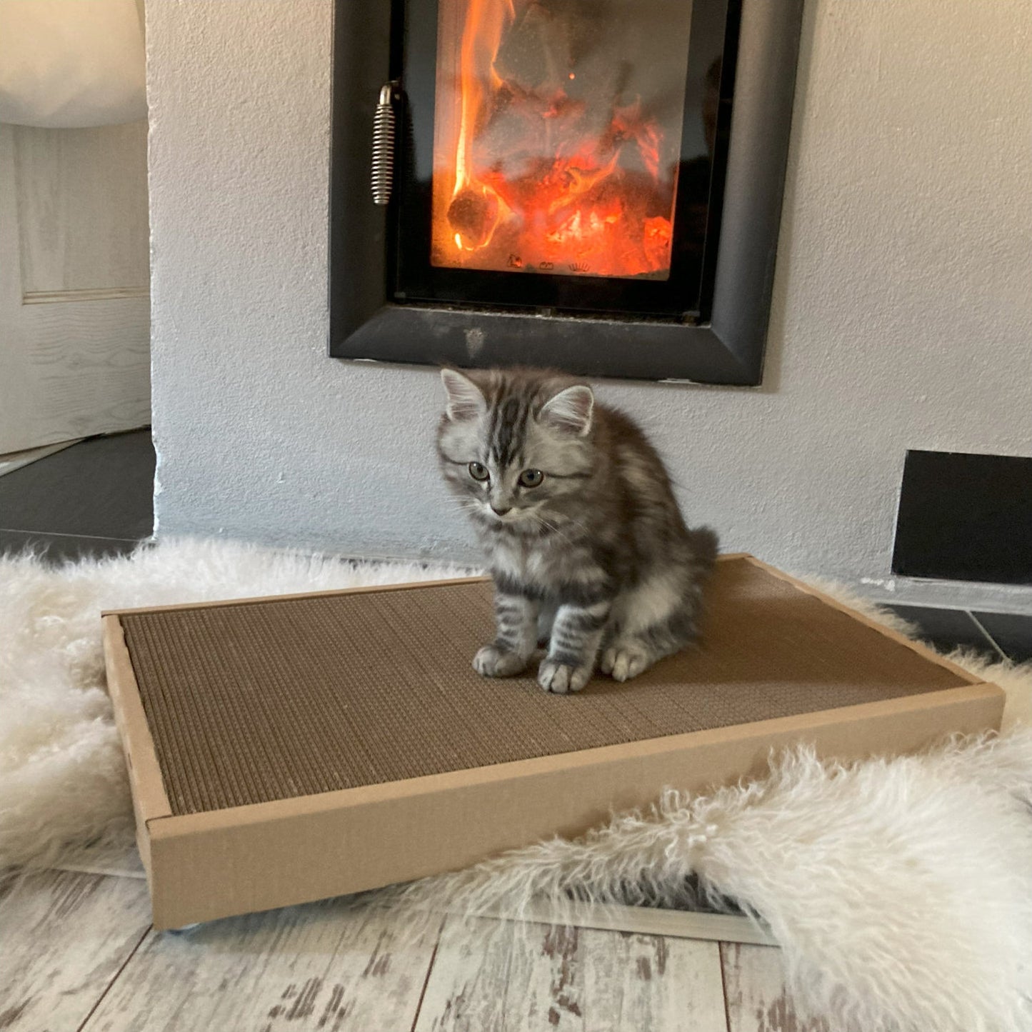 Premium Scratcher
