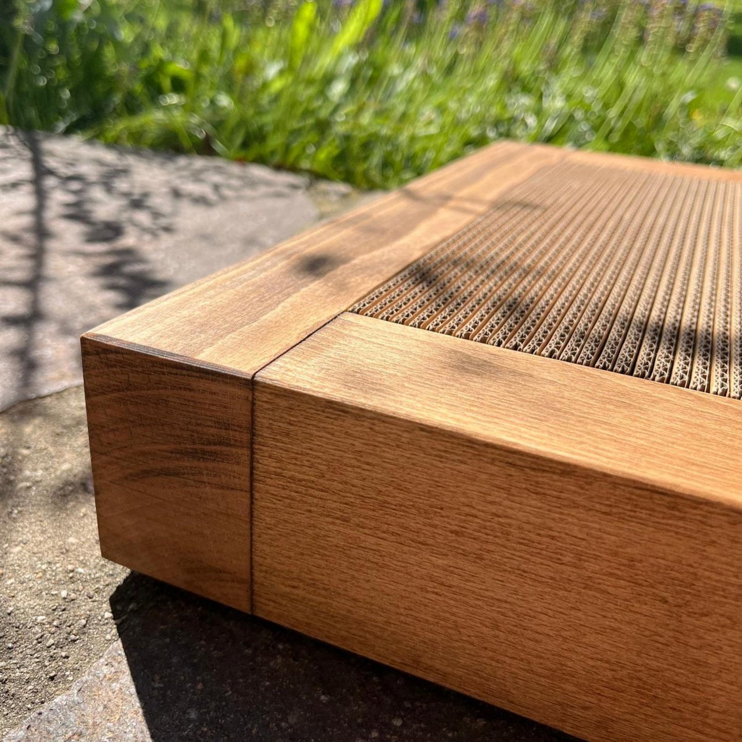 Dreamwood