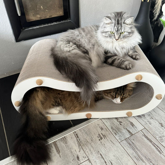 Sofa Loop