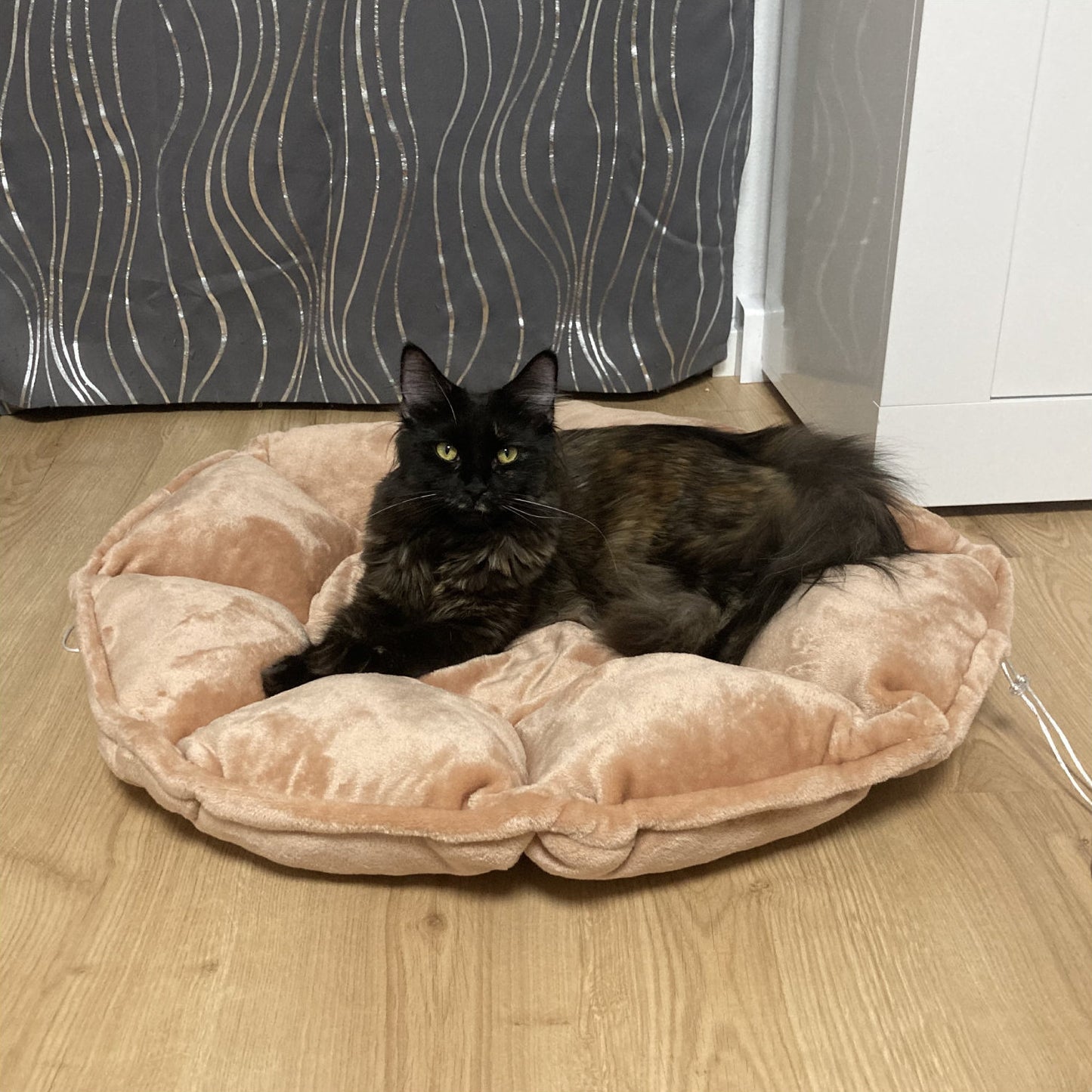 Lilia