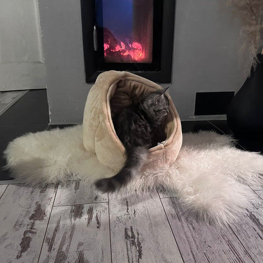 Igloo