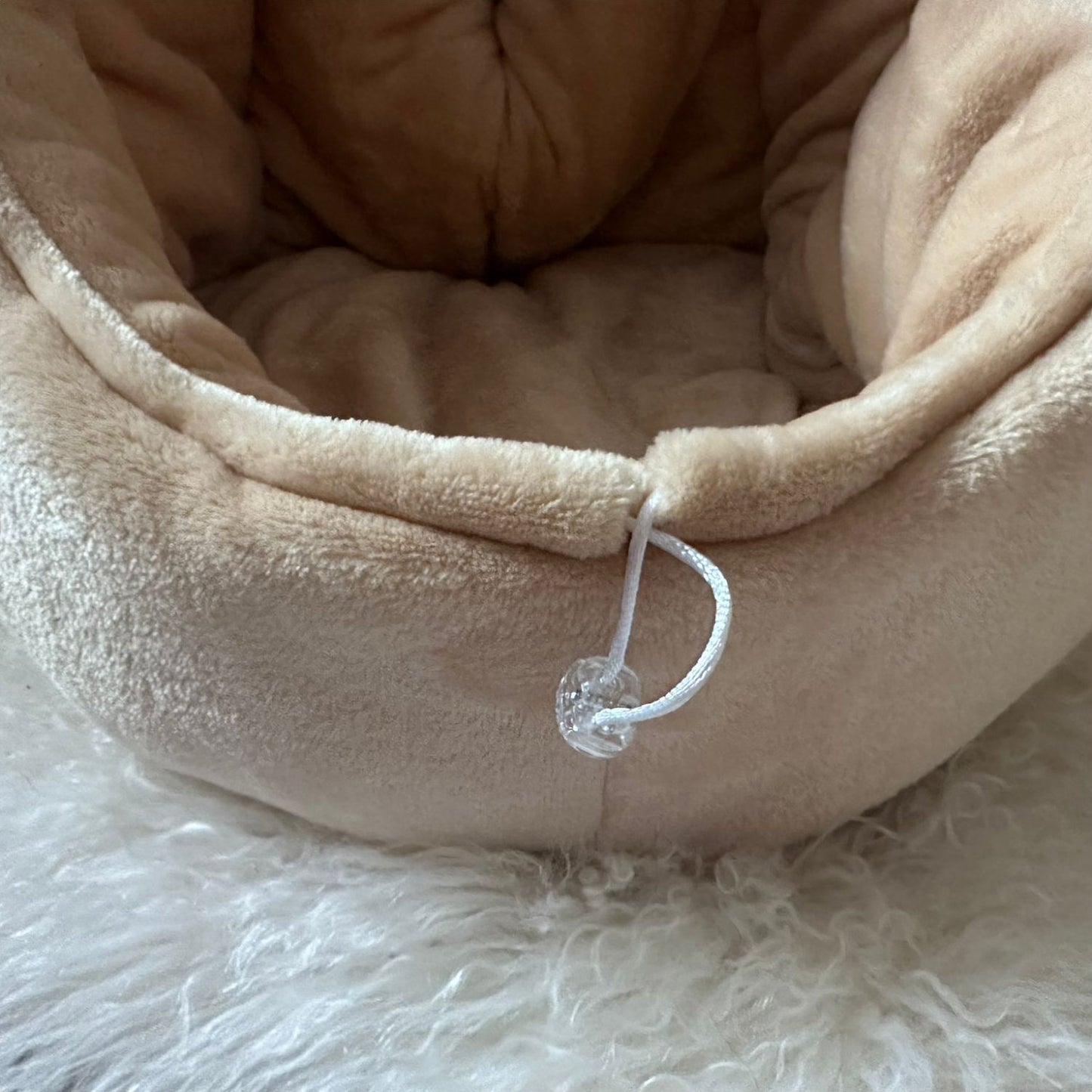 Igloo
