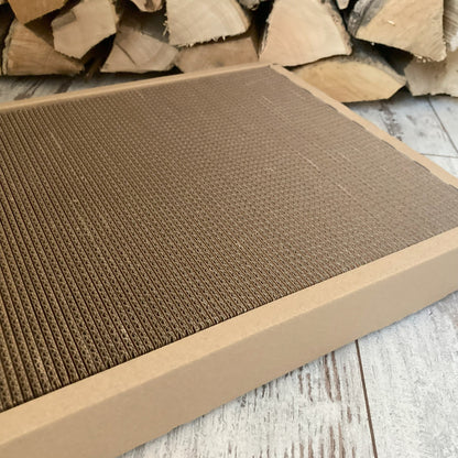 Premium Scratcher